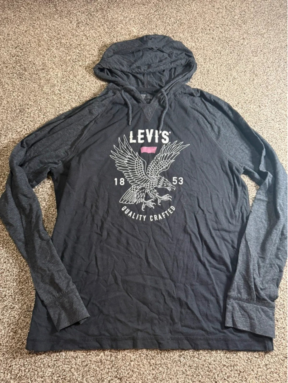 Levi’s Men’s 1853 Eagle Graphic Hooded Long Sleeve Shirt Navy Pullover